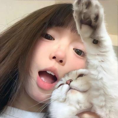 加菲猫的幸福生活第二季